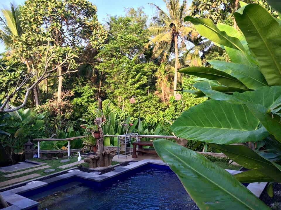 Kerta Family Bed And Breakfast Ubud Eksteriør billede