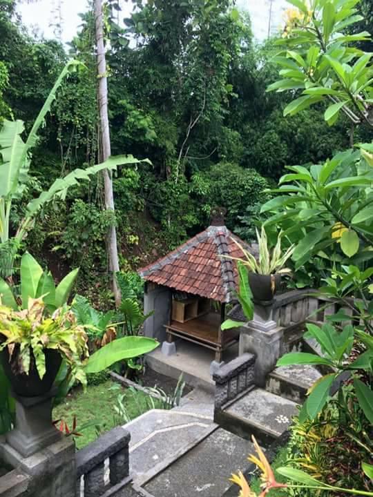 Kerta Family Bed And Breakfast Ubud Eksteriør billede