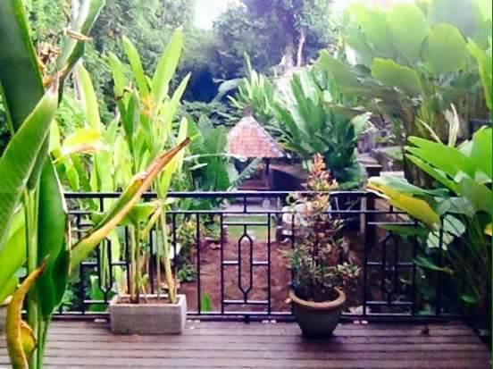 Kerta Family Bed And Breakfast Ubud Eksteriør billede